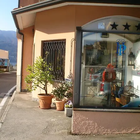Plinio 3*